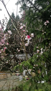 2019-03-23 09.24.14.jpg
