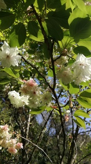 2019-04-18 08.59.22.jpg