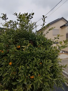 2019-12-21 10.56.56.jpg