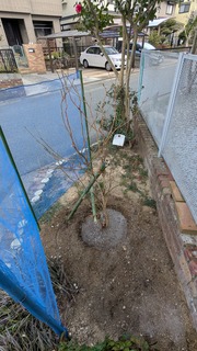 2025-02-22 09.51.58.jpg